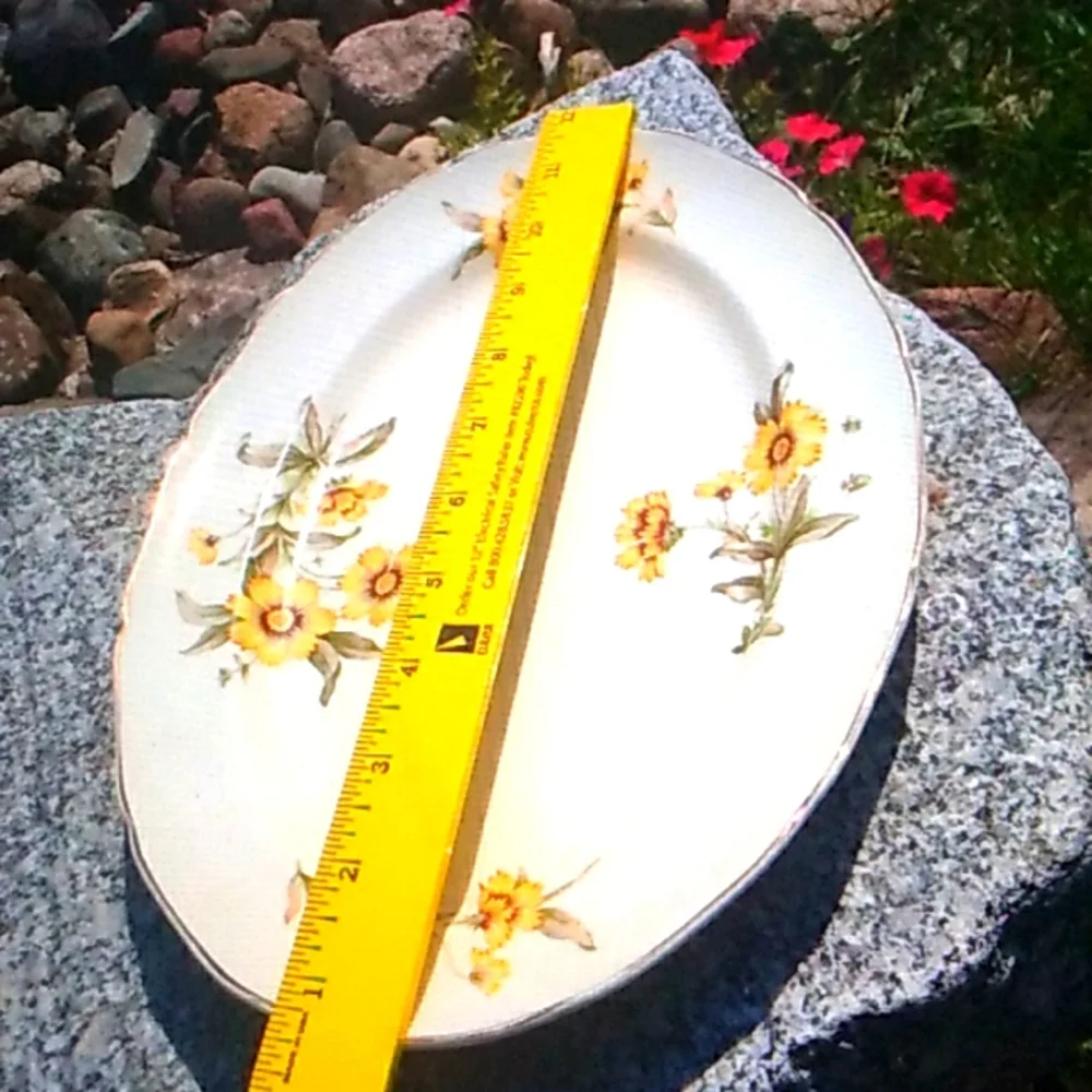 🕊️ Wedgwood Devotion Fine Bone China PLATE 8
